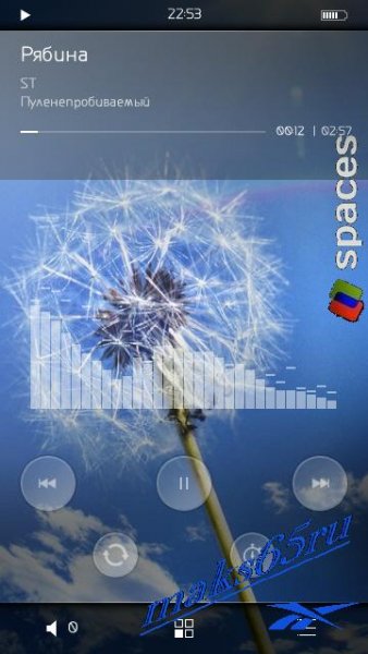 Skin TTpod by maks65ru