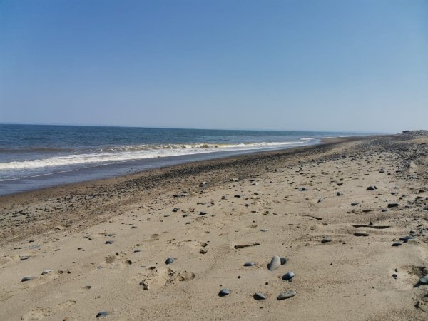 IMG-20220807-WA0039