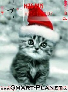 xmas cat