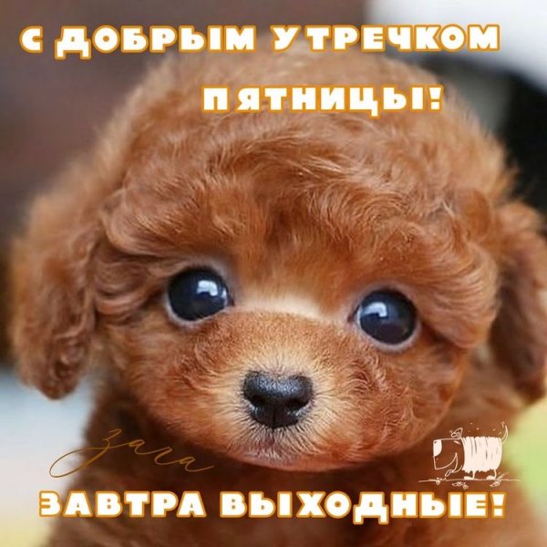 file_92587781