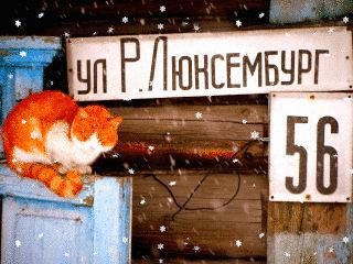 file_79928548