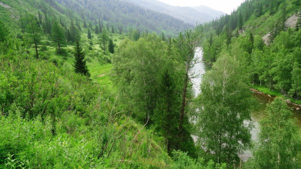 file_83236706