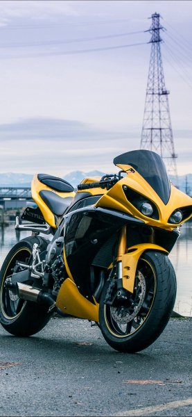 file_90653115