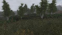xrpatch.v.0.8
