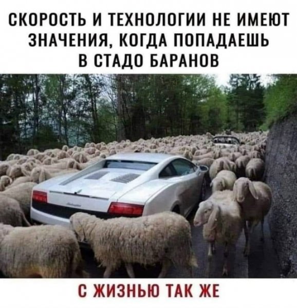file_101873994