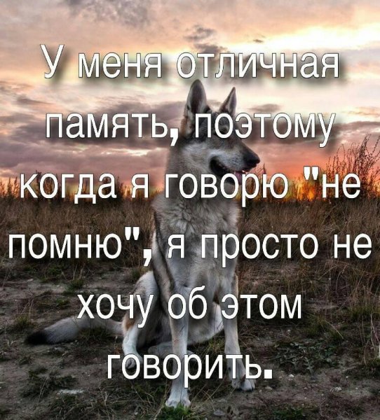 Отличная память