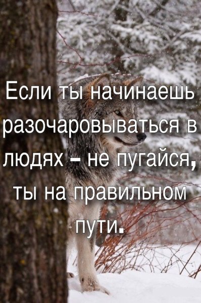Не пугайся