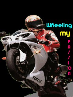 Bike Мото фристайл