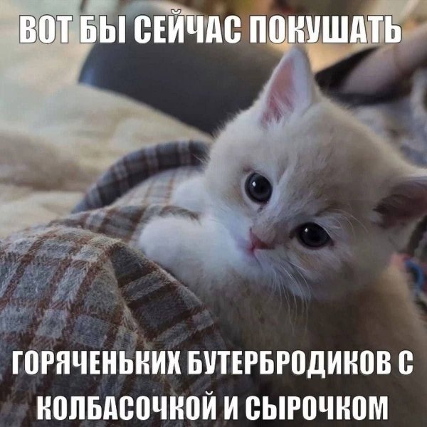 file_101085119