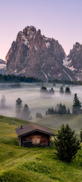 file_100523025