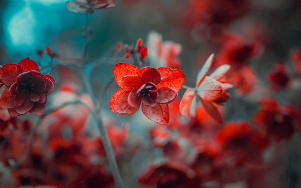 file_89875695