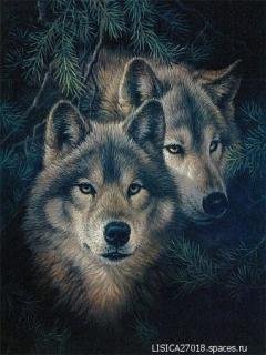 getImage (11)-