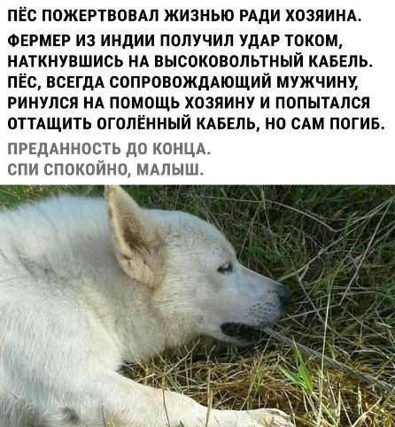 tdQR0jJlWUk