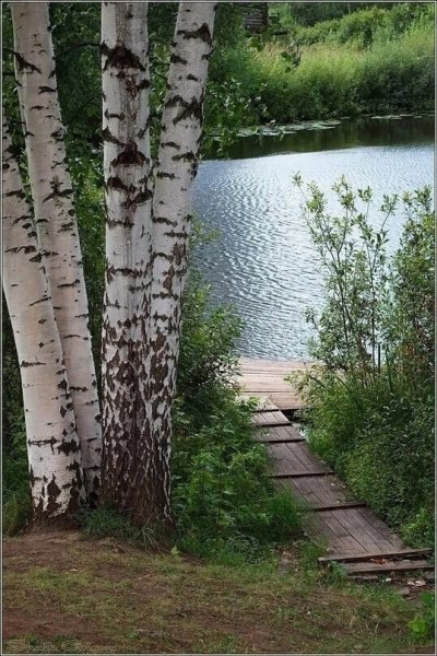file_101553150