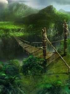 Nature theme
