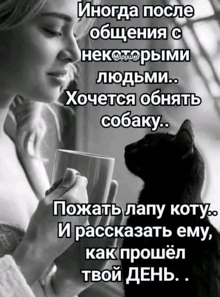 file_100871644