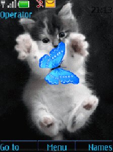 Kitten and butterfly by Darina