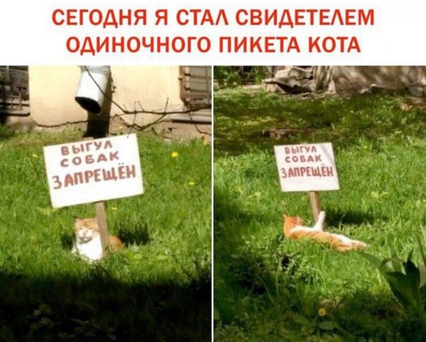 IMG 20260813 152142 138