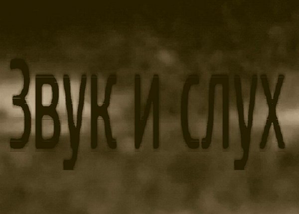 Zvuk i sluh