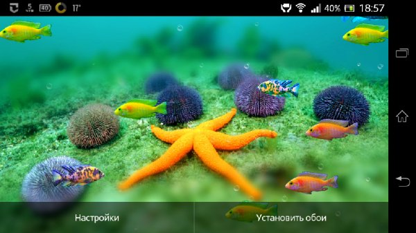 Fish-Tank-Android-Wallpaper