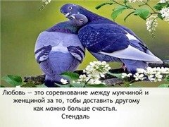 Соревнование