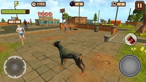 1 doggy dog world