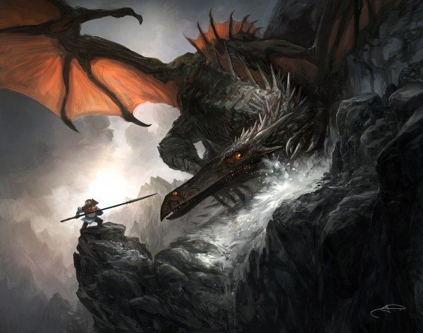 Image (22)