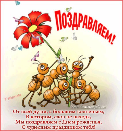 file_44838811