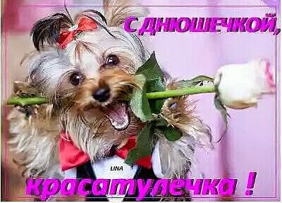 file_83856599