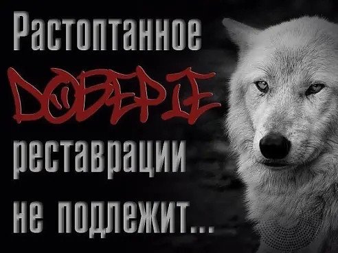 Волк