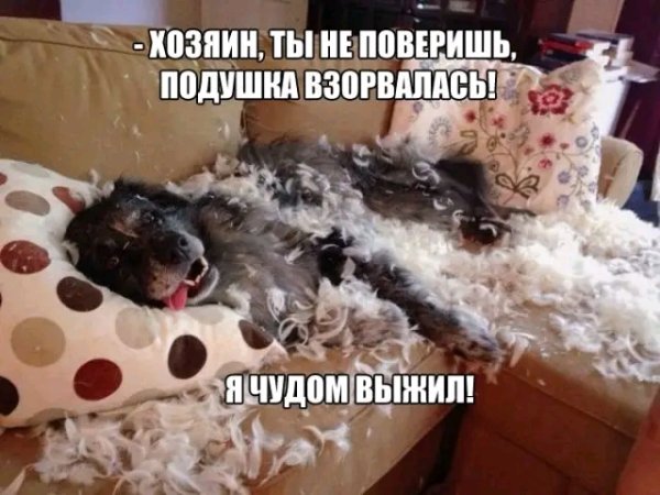 file_103064612