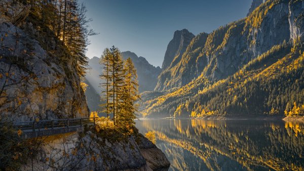 file_91815705
