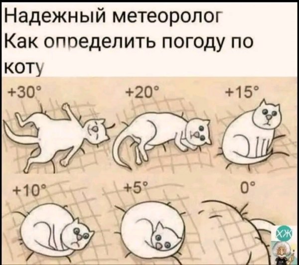file_103314457