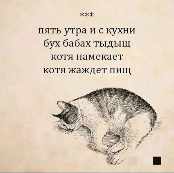 file_103311027