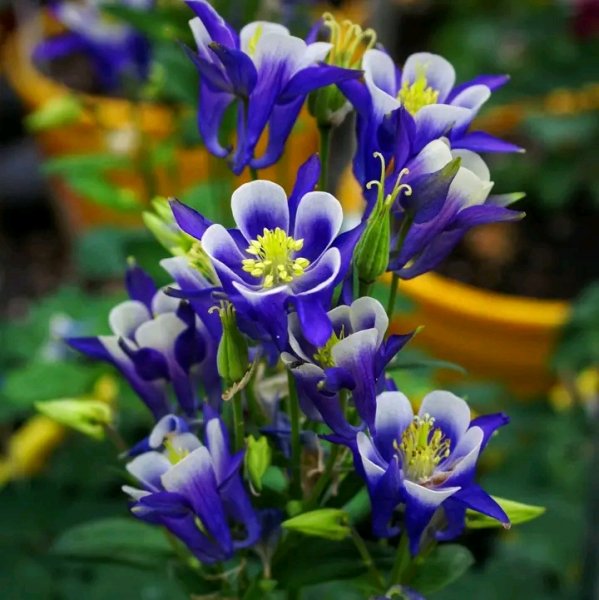 file_97014826