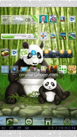 Spring Panda