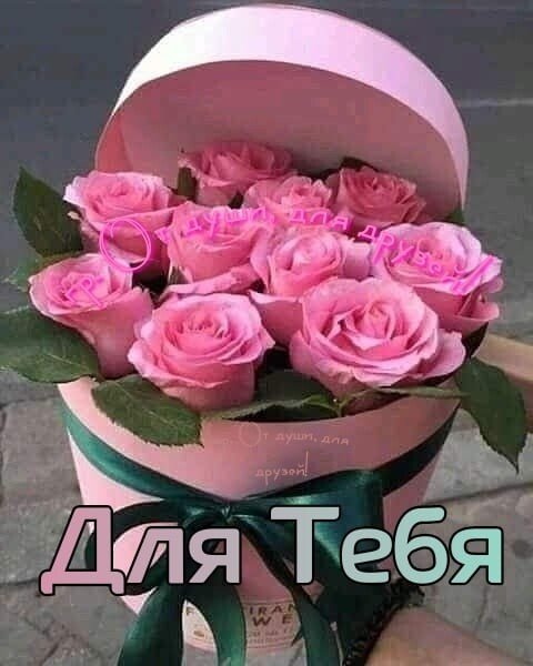 IMG 20201222 194013