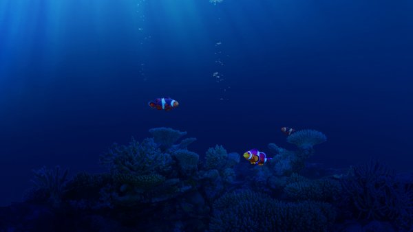 Underwater-world