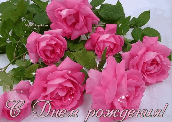 IMG 20190123 005818