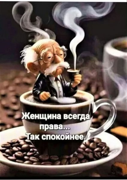 FB IMG 1746393942037