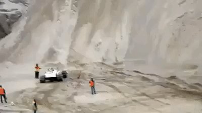 вот это зверь