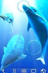 Dolphin LiveWallpaper v1.0.0 74