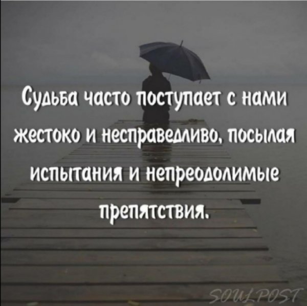 file_102868474
