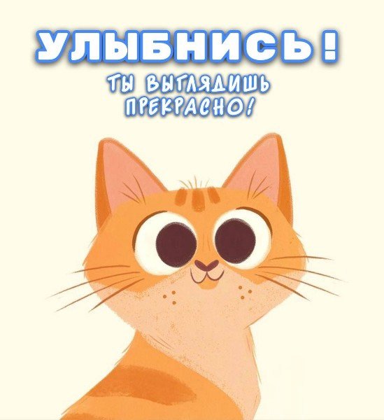 file_95103548