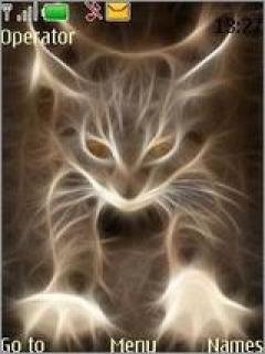 Abstract Cat