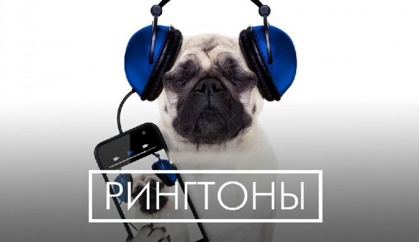 Dj Smash - Паша (Прикольная нарезка)