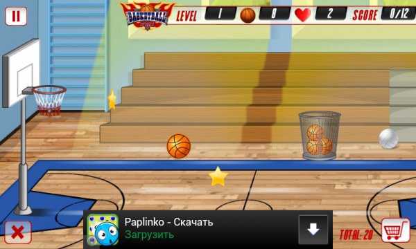 Basket Pro