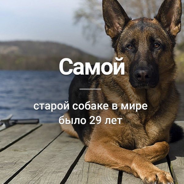 IMG-20180228-WA0006