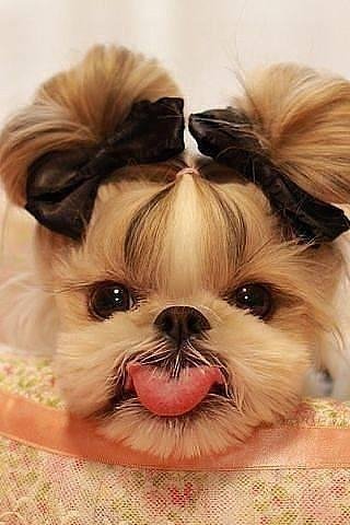 file_78153683