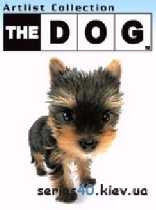 thedog yorkie
